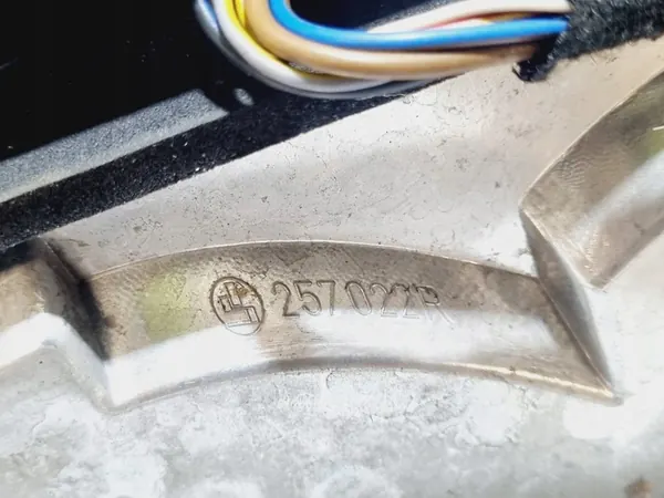 Luz trasera derecha BMW 3 E46 2002 image 6