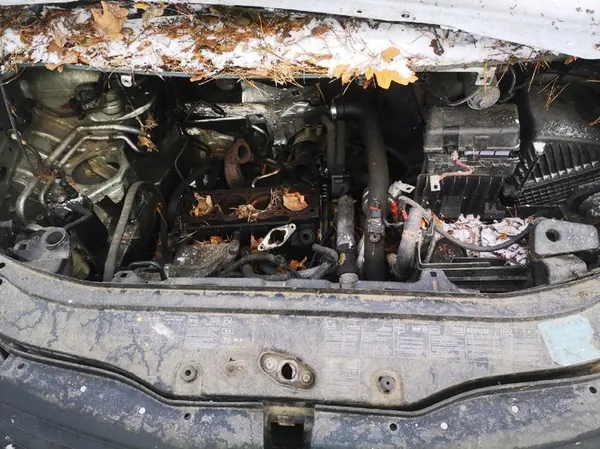 Oljepump Renault Espace 2002 1.9L 7700600251 image 7