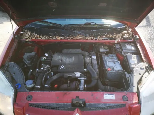 Manguera de intercooler Citroen Berlingo 2007 1.6L 9651246880 image 7