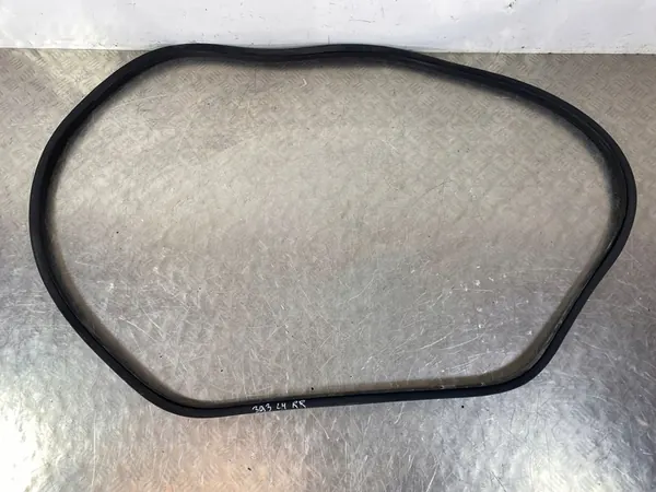 2023 Mitsubishi Outlander IV Rear Door Seal image 1