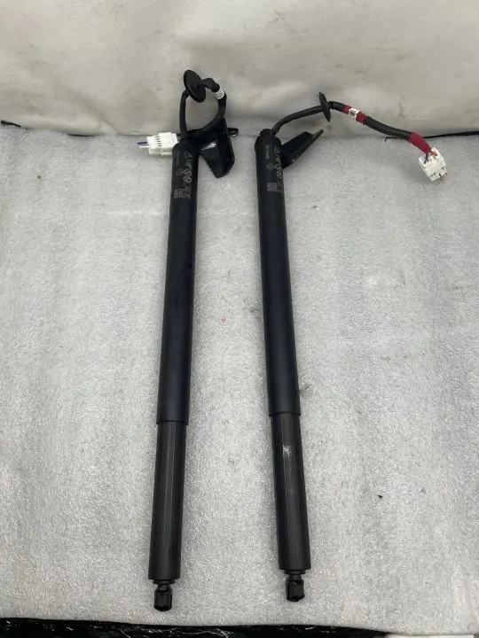 OEM 904519468R achterklepactuatorset voor Renault Austral image 2