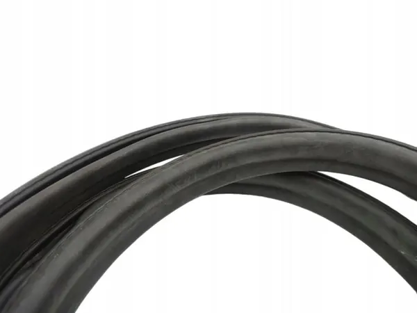 Joint de vitre Tesla OEM 484348 Portière avant droit image 3