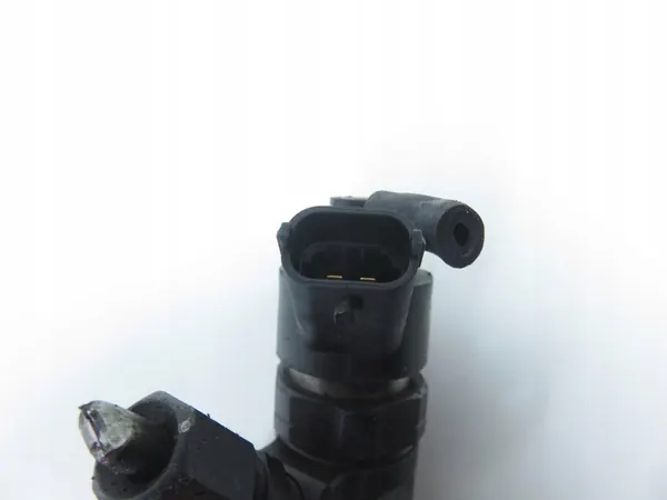 Bosch Injektor Peugeot 307 1.6 HDi image 5