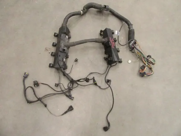 Motor Kabelboom OEM 1438902 BMW X5 4.4 V8 image 2