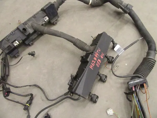 Motor Kabelboom OEM 1438902 BMW X5 4.4 V8 image 4