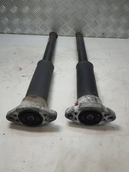 Stötdämpare Vänster Höger Bak Par OEM A2053208430 image 7