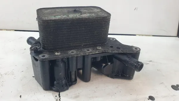 Oliefilterhuis OEM 152081926R image 3