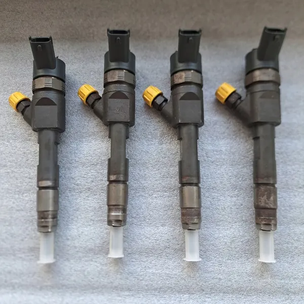 Inyector de combustible RENAULT MEGANE SCENIC III 1.9 DCI image 2