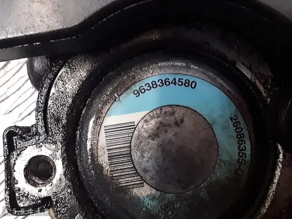 Servostyrningspump Peugeot 206 2003 9638364580 image 5
