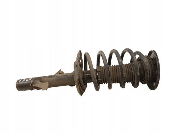 Amortiguador Delantero Derecho OEM 5907911221874 image 2
