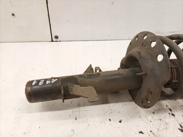 Amortiguador Delantero Derecho OEM 5907911221874 image 3