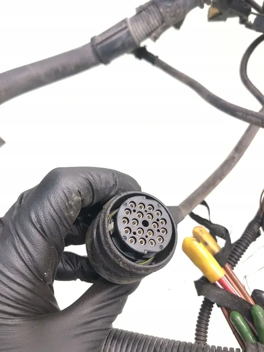 2002 BMW 5 E39 Faisceau moteur 7788154 image 3