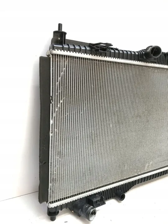 Radiador de agua Ford OE GN11-8005-AD image 6