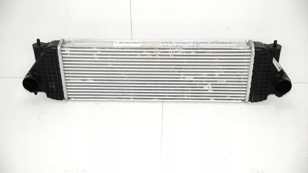 Intercooler OEM 360158791 pour Suzuki Grand Vitara II 1.9D image 3