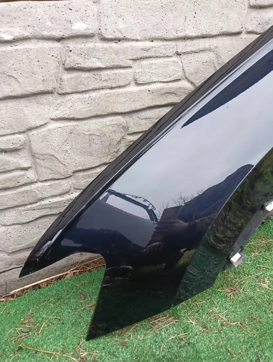 Vänster framskärm VW Tiguan II 2016-2020 5NA821105B image 2