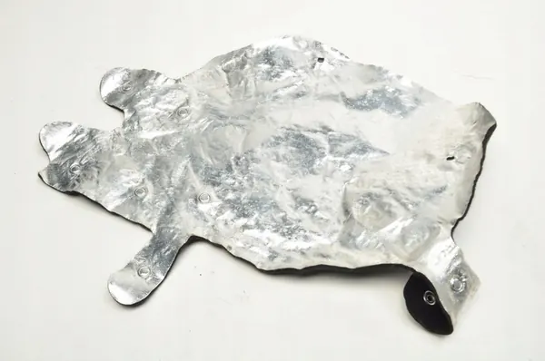 VOLKSWAGEN TIGUAN III ÉCRAN THERMIQUE 5QT721615A image 3