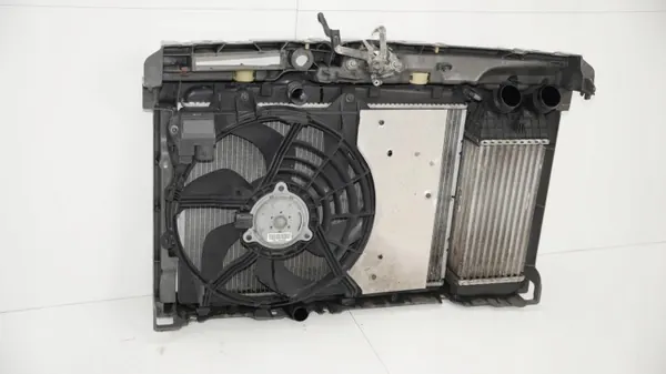 OEM 360184514 Etuhihna Citroen C3 II 2009-2012 image 7