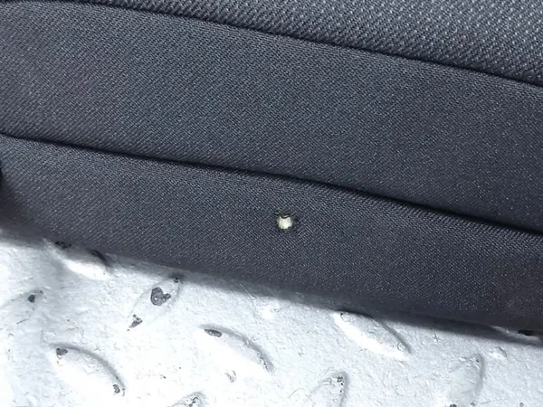 Appui-tête avant droit Dacia Sandero III OEM AGR32567 image 7