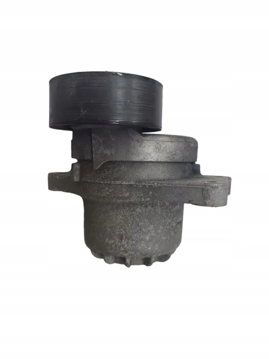 Kit de correa trapezoidal Peugeot OE 1616876980 image 2