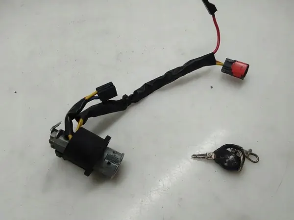 Ontsteekschakelaar OEM 369023 voor Peugeot 206 1.6L image 6