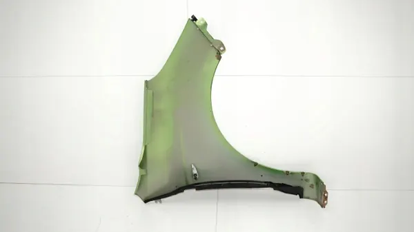 Para-lamas dianteiro esquerdo OEM 360176222 para Hyundai i20 08-12 image 7