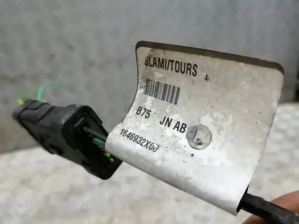 Installation Halogène Citroen DS4 1646932X00 image 3