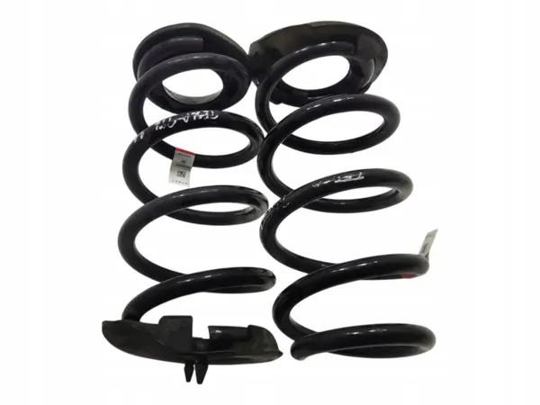 Achterveringveren OEM 1044472-01-E Tesla Model 3 image 2