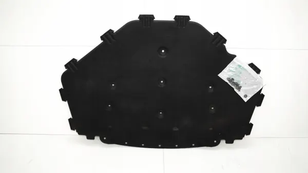 Konepellin eriste OEM 368446348 BMW X5 E70 2007-2010 image 2