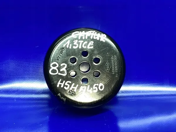 Polea de Bomba de Agua OEM 210510501R para Dacia Captur image 2