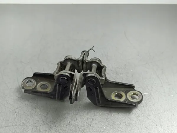 2024 Nissan X-Trail T33 Türscharniere vorne FOB53713 image 1