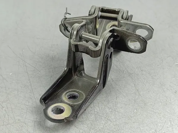 2024 Nissan X-Trail T33 Türscharniere vorne FOB53713 image 3