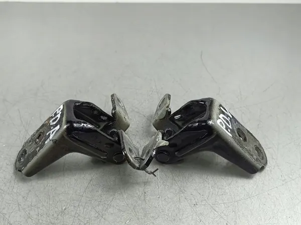 2024 Nissan X-Trail T33 Türscharniere vorne FOB53713 image 4