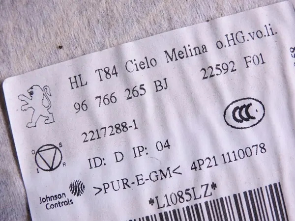 Peugeot 3008 I Solar Panorama Katto OEM 96766265BJ image 5