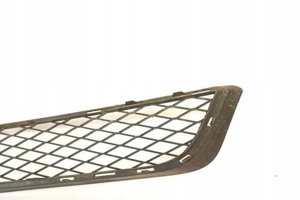 Griglia paraurti anteriore BMW X5 E70 51117222856 image 8