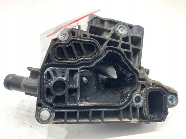 Durite d'eau OEM 110605RF1A pour Renault Arkana image 3