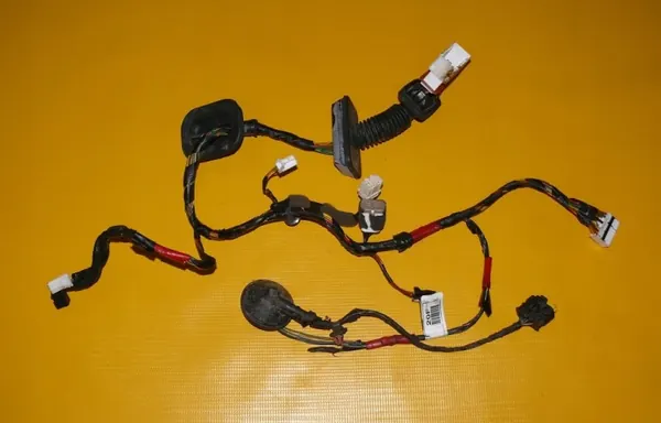Faisceau Porte Avant Gauche OEM 916002L200 image 2