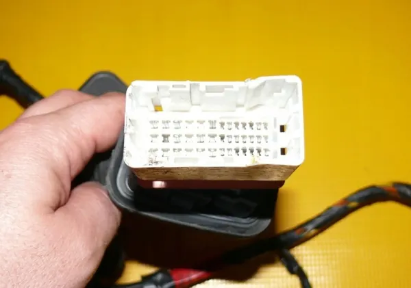 Faisceau Porte Avant Gauche OEM 916002L200 image 3