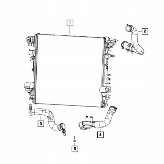 Durite de radiateur sortie OEM 68310710AA Wrangler JL image 3