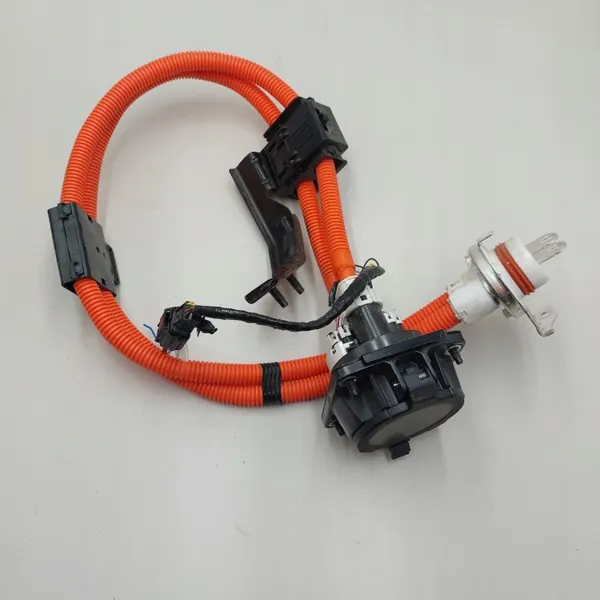 Cable de carga Nissan Leaf II EV OEM 296515SK1A image 2
