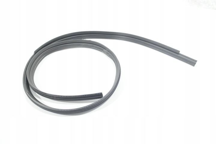 VW ARTEON FL Dachdichtung 3G8854544D