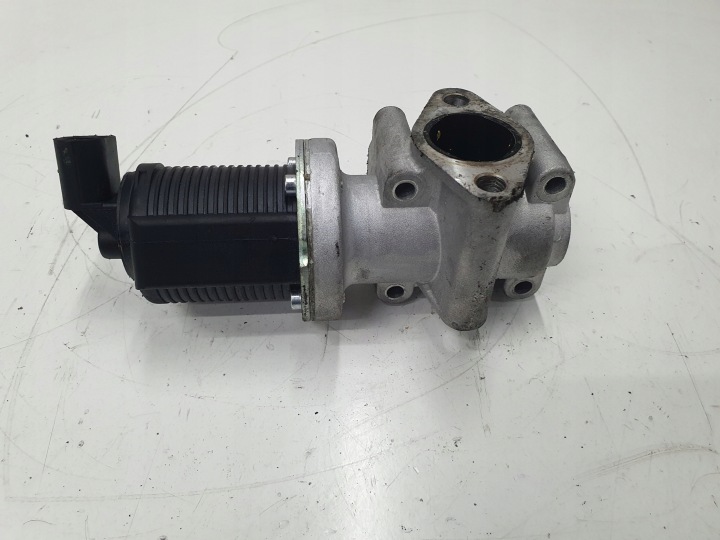 EGR-Ventil Delphi EG10259 für Fiat Alfa-Romeo Opel Saab