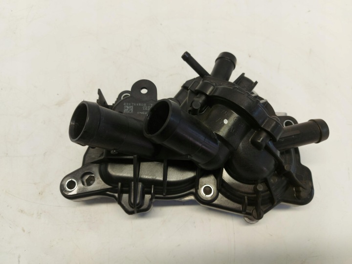 CUPRA Formentor 5FF 1.4 E-TSI Water Pump 04E121042AD