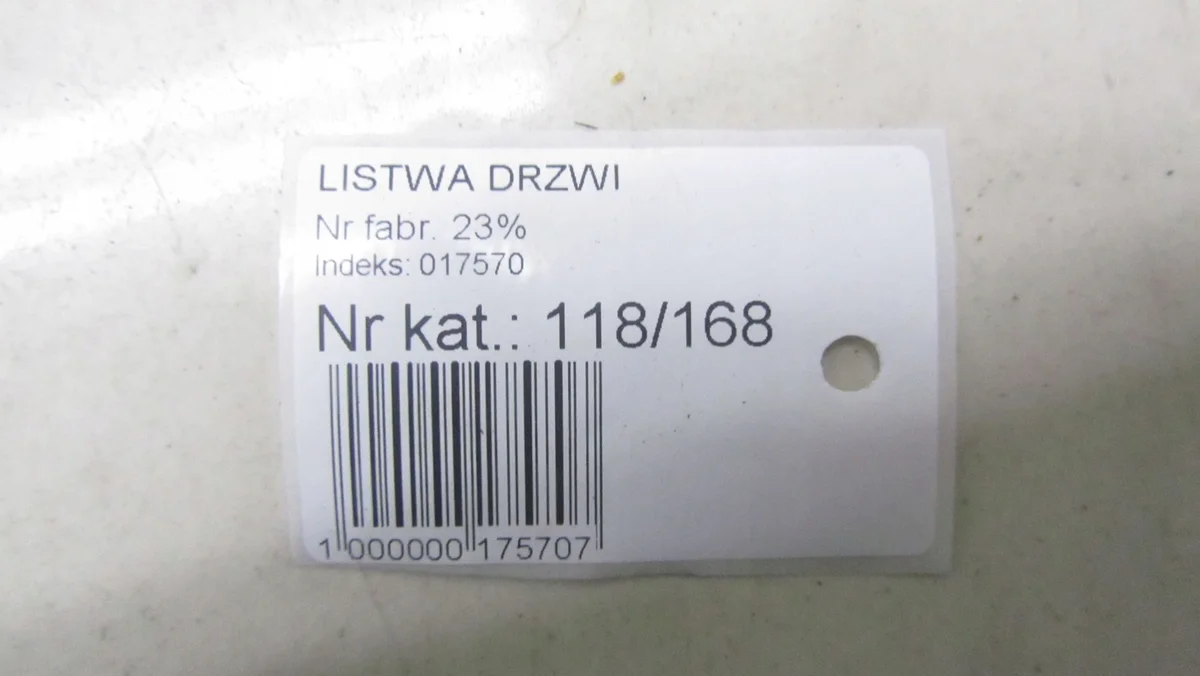 Sidolist Renault Trafic 8200036093 image 7
