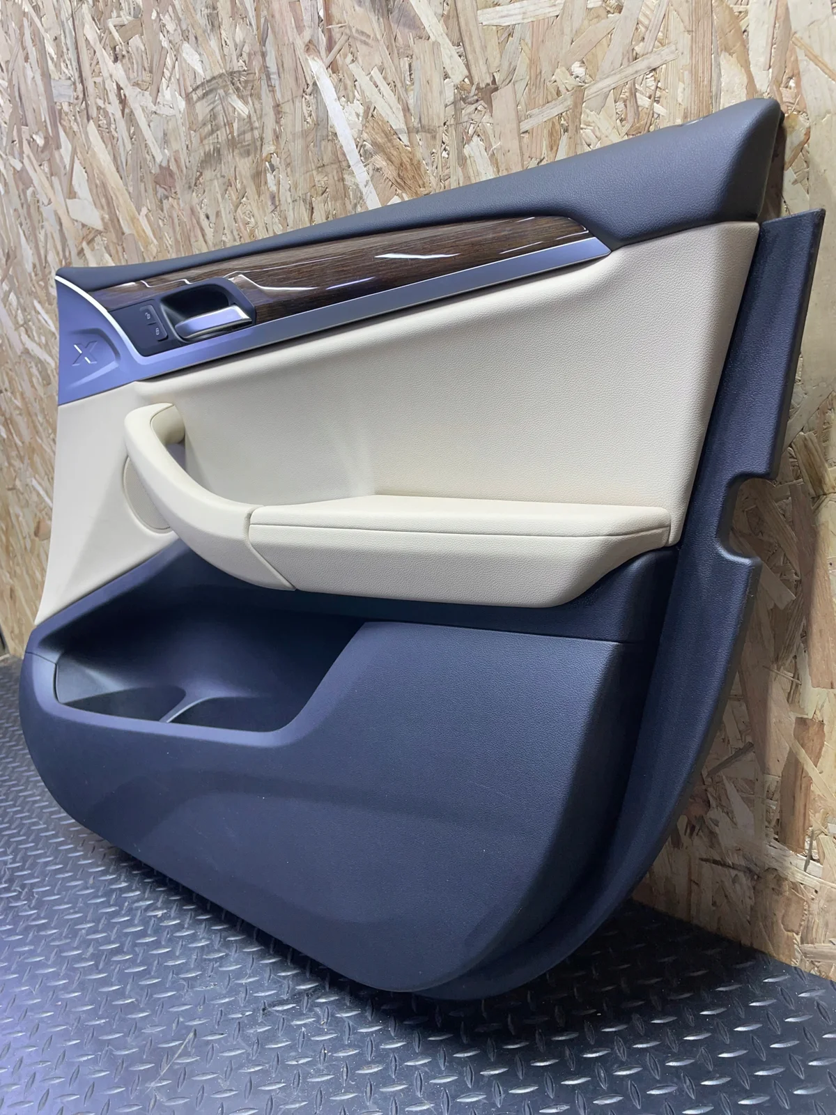 BMW X3 G01 Türverkleidung rechts vorne image 3
