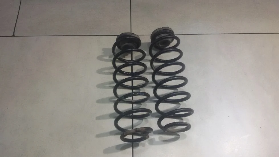 Muelles Traseros Seat Ibiza IV (6J5, 6P1) Usados