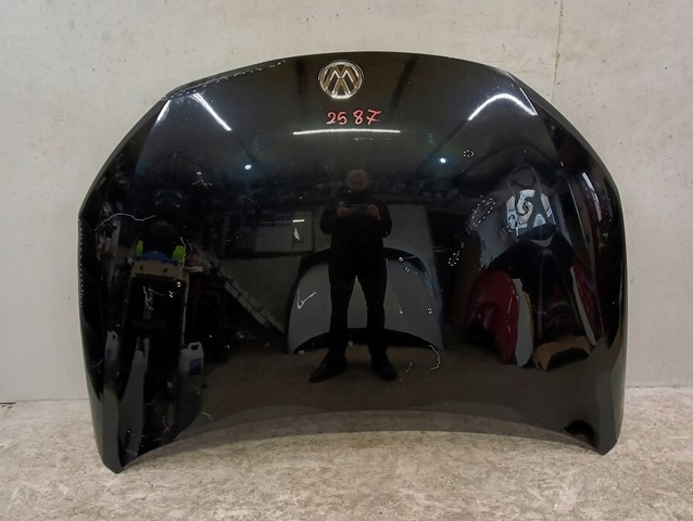 Motorhaube VW Scirocco 1K8 08-17R AMV1471