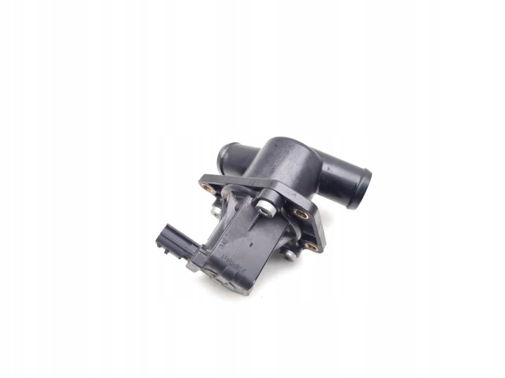 Nissan Qashqai Water Circulation Pump 1.2 DIG-T Petrol 144830222R
