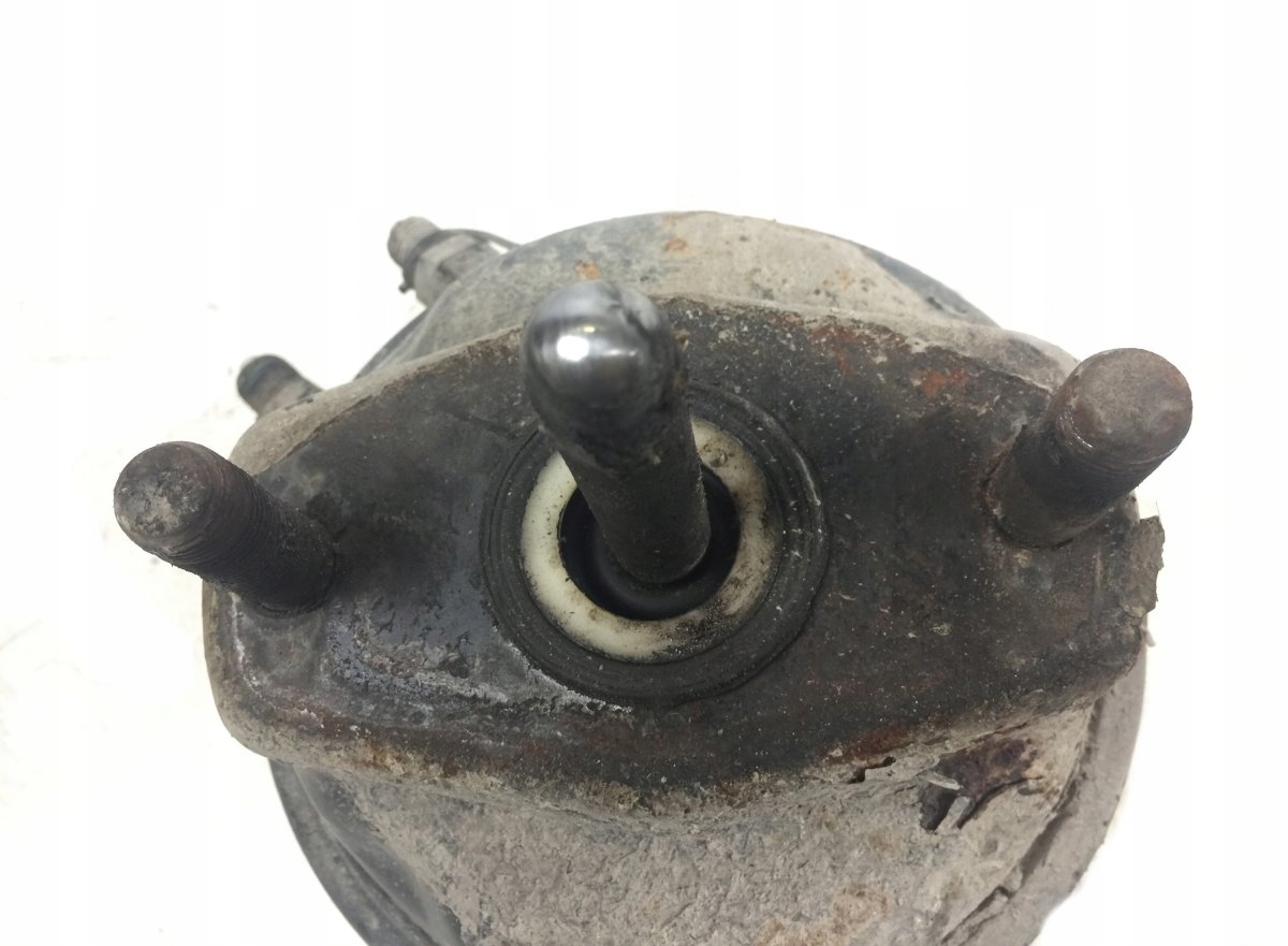 1637080 DAF Bromskammare, drivaxel image 4