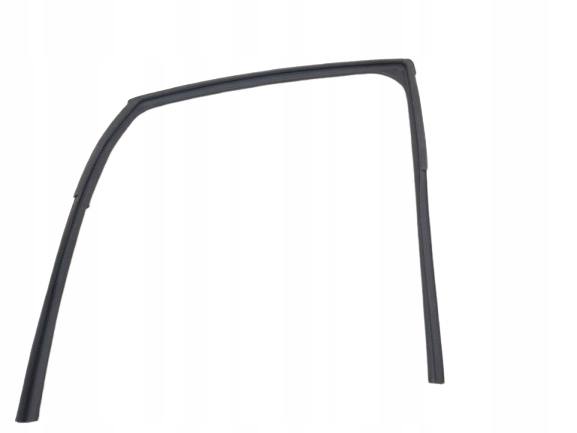 EM2E-6107113 Türdichtung links vorne BYD DOLPHIN