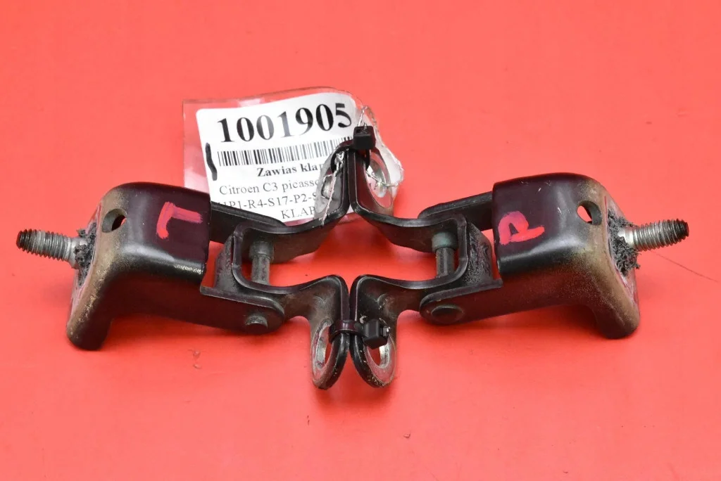 Scharnier Kofferbak Citroen C3 Picasso 12-16